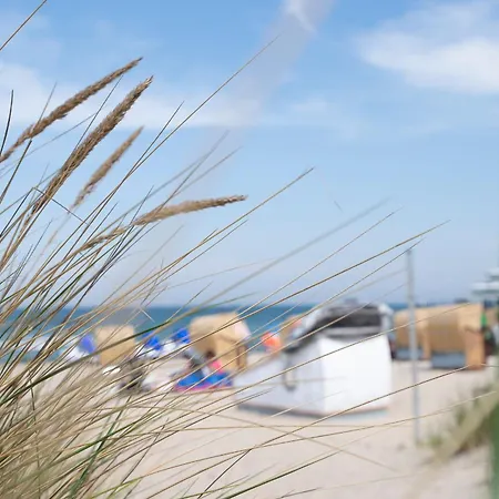 Schlafstrandkorb Nr 7